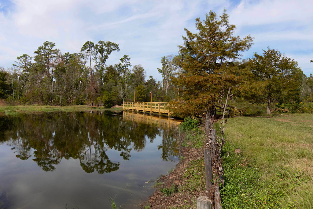 Peaceful lake scene with a wooden dock extending over calm water, surrounded by trees and grassy shoreline at Bundick Lake Retreat.
