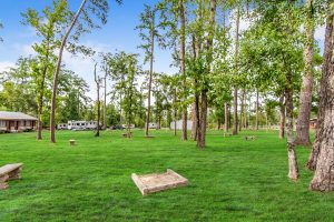 Open RV park area with tall pine trees, scattered picnic tables, and a horseshoe pit, with RVs and small buildings visible in the background under a partly cloudy sky.