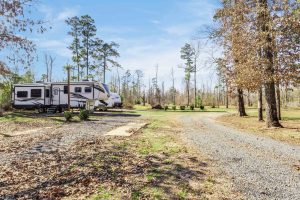 Bundick Lake RV Park Two RVs parked on gravel lots under tall trees at Bundick Lake Retreat and RV Park in DeRidder Louisiana, clear sky above.